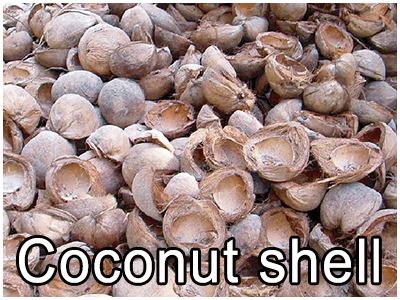 coconut shell