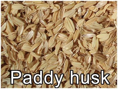 paddy husk